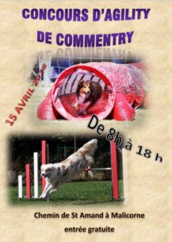affiche agility